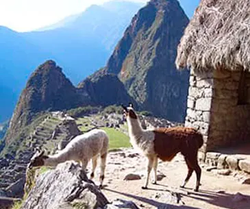 Cusco Magical